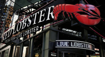Dismal Declines on Multiple Fronts for Red Lobster, Olive Garden